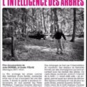 Soirée Ciné Débat Le 17 Avril 20h30 à L’Utopia Sauvons Les Arbres