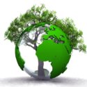 Terre Arbre Environnement